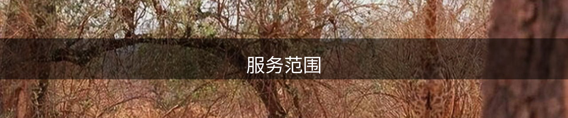 服务范围